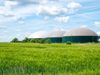 Biogas