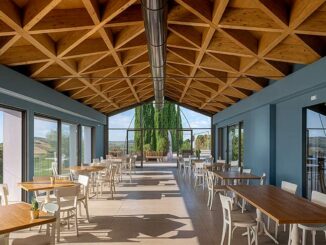 Edilizia in legno, nel 2024 cambia il volto del settore Edilizia in legno