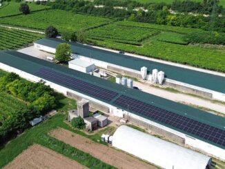Cooperativa Agricola San Martino