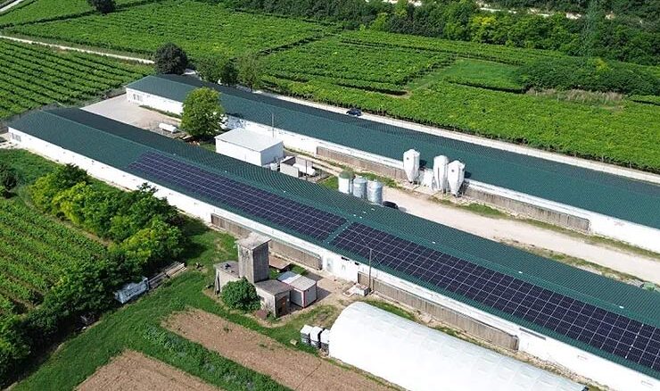 Cooperativa Agricola San Martino